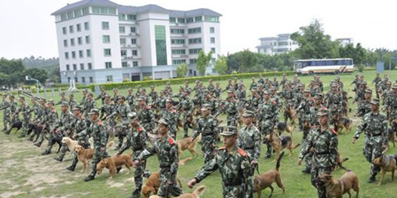 廣州武警警犬訓(xùn)練基地固定看臺全部竣工